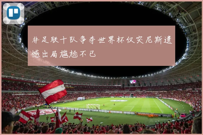 非足联十队争夺世界杯仅突尼斯遗憾出局尴尬不已