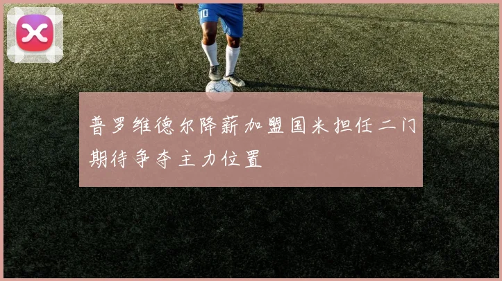 普罗维德尔降薪加盟国米担任二门期待争夺主力位置