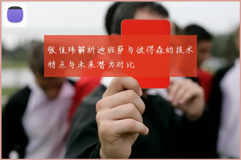 张佳玮解析迪班萨与彼得森的技术特点与未来潜力对比